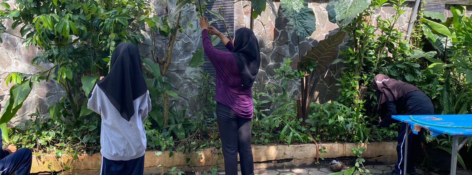 Peremajaan Lingkungan Sekolah Bersama Pokja Adiwiyata